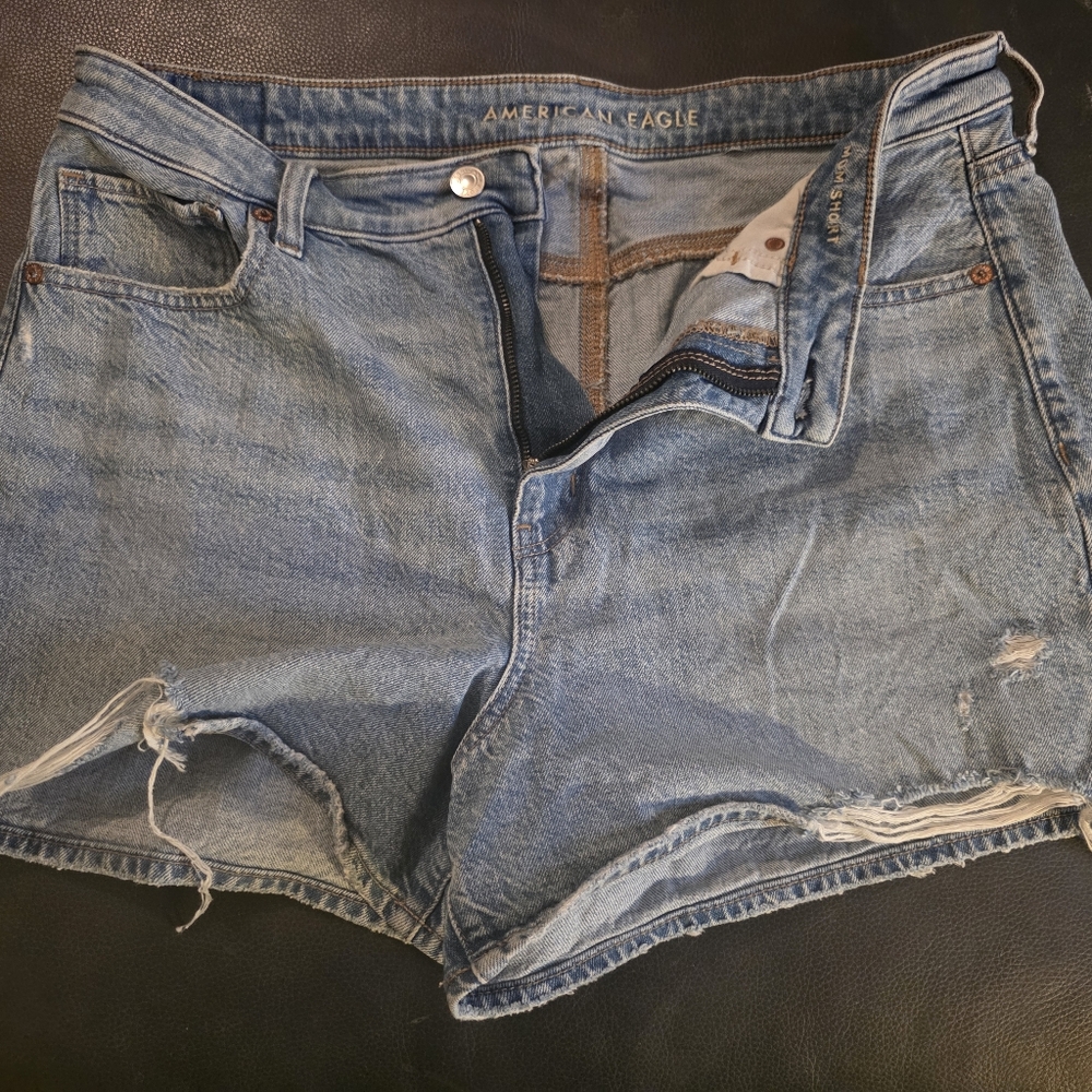 American Eagle Outfitters Light Blue Distressed Jean Shorts